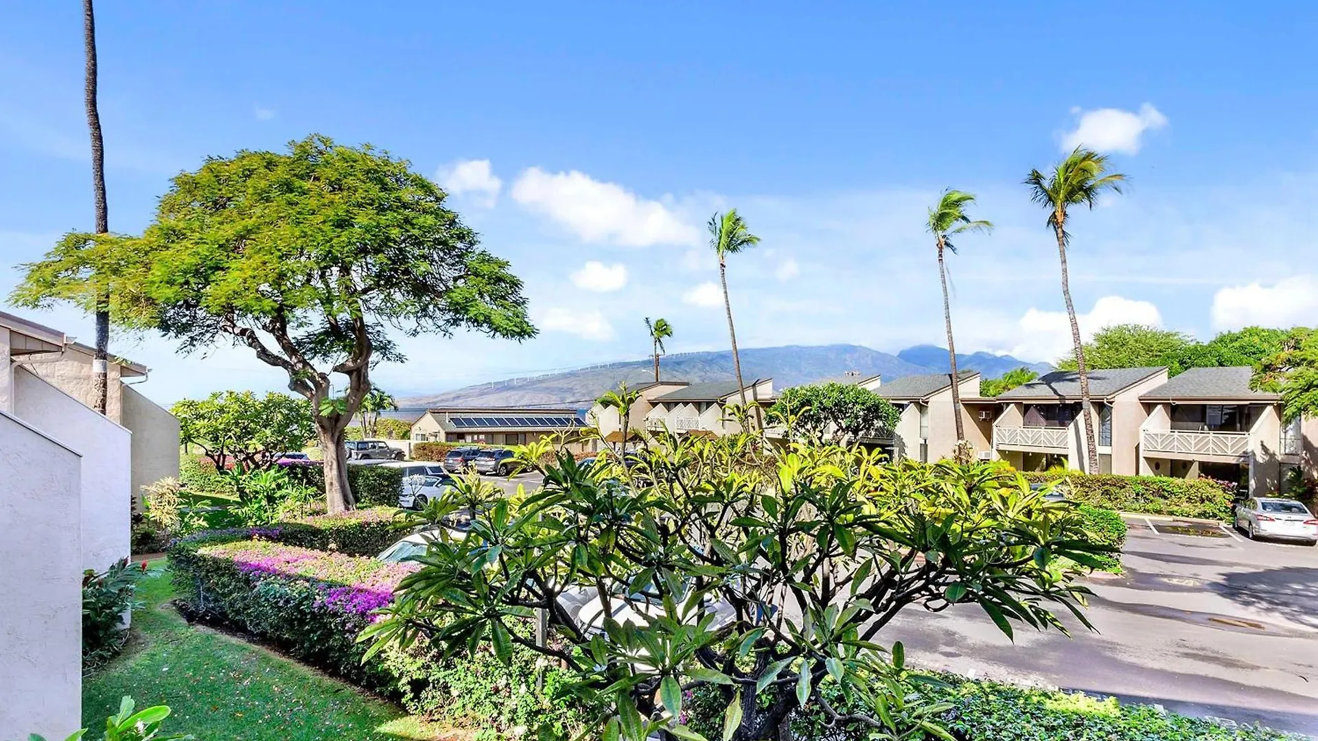 Kihei Holiday 215